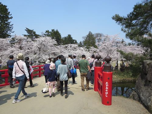 【北東北桜追い旅⑬】弘前城のさくらまつり_c0042960_18513456.jpg