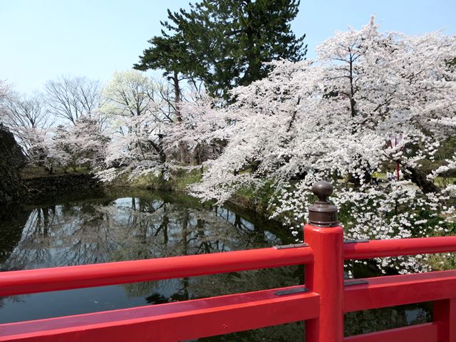 【北東北桜追い旅⑬】弘前城のさくらまつり_c0042960_18514559.jpg