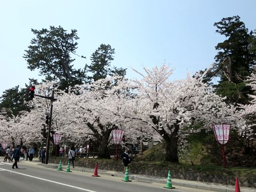 【北東北桜追い旅⑪】つなぎ温泉から東北道で弘前へ_c0042960_18572640.jpg