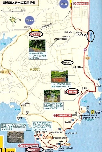 <2014年4月12日>2014新緑の観音崎・横須賀ウォーキング_c0119160_14164540.jpg