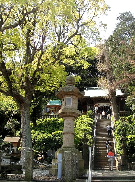 <2014年4月12日>2014新緑の観音崎・横須賀ウォーキング_c0119160_1652165.jpg