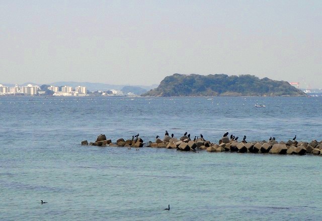 <2014年4月12日>2014新緑の観音崎・横須賀ウォーキング_c0119160_17401742.jpg