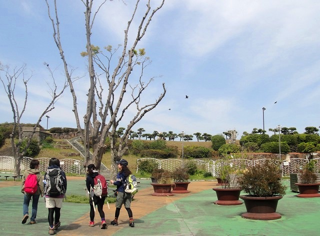 <2014年4月12日>2014新緑の観音崎・横須賀ウォーキング_c0119160_182546.jpg