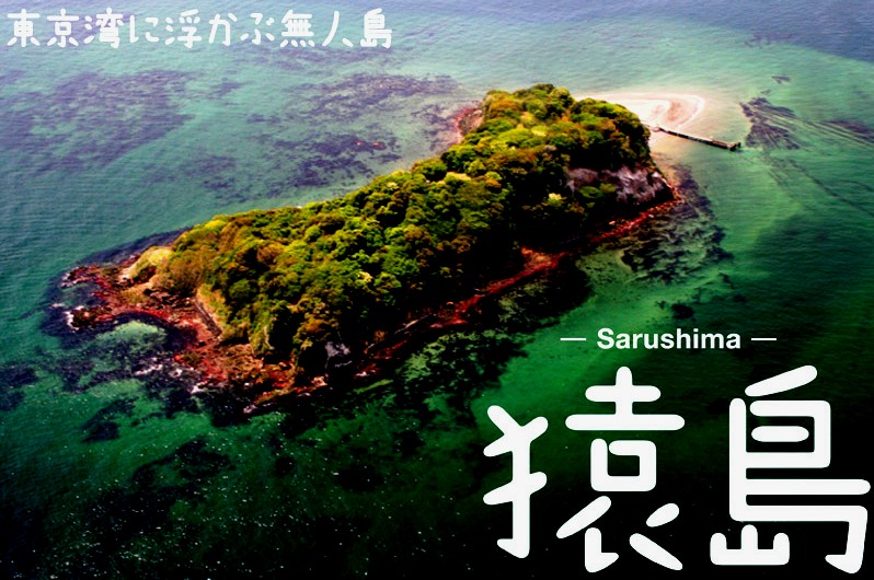 <2014年4月12日>2014新緑の観音崎・横須賀ウォーキング_c0119160_18342079.jpg