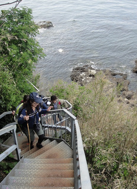 <2014年4月12日>2014新緑の観音崎・横須賀ウォーキング_c0119160_2041616.jpg