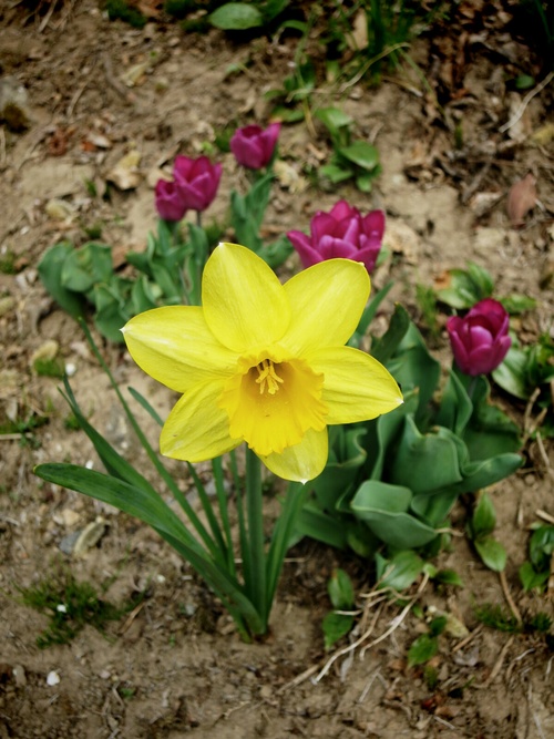 f0236260_22464222.jpg