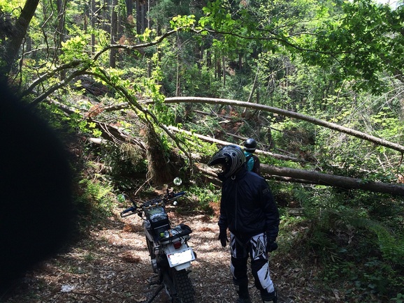 2014 ツーリング その5_a0103166_23522481.jpg