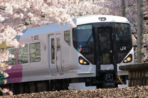 勝沼ぶどう郷駅の桜 ～ 電車編_e0045768_21521646.jpg