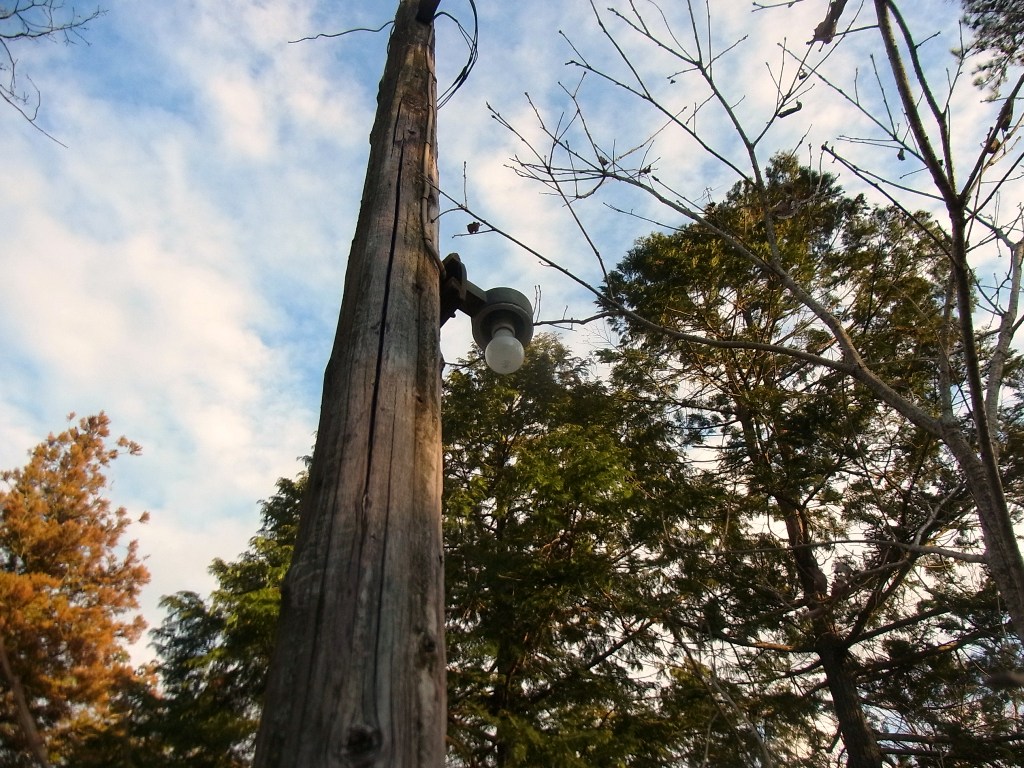 2014/03/22　奥牧野城山_d0233770_1495864.jpg