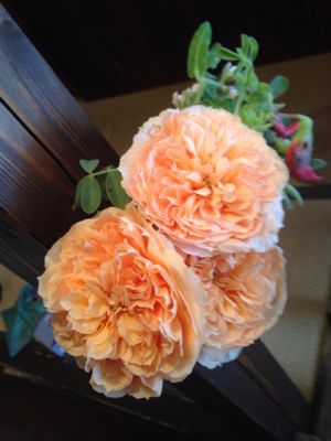 今日も元気に営業してます!_a0145471_934353.jpg