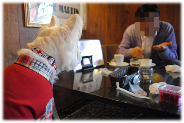 b0242873_01595678.png