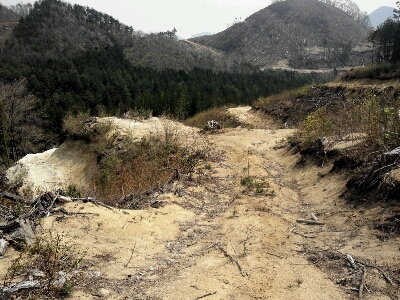 e0255775_21558.jpg
