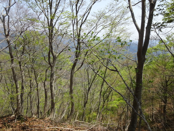 c0066176_18557.jpg