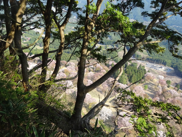 c0066176_95065.jpg
