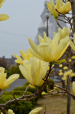 c0229483_22331386.jpg