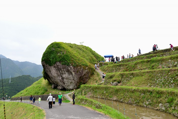 熊野の旅　旧天皇誕生日　みどりの日　昭和の日_d0045383_1493440.jpg