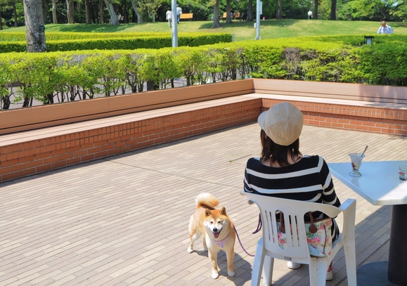 緩むなぁ・・・_a0126590_11102552.jpg