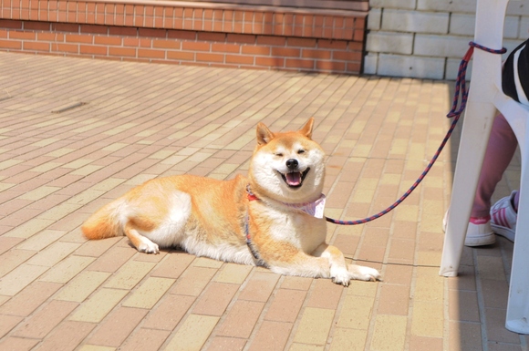 緩むなぁ・・・_a0126590_1110648.jpg