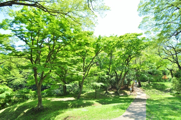緩むなぁ・・・_a0126590_11115990.jpg