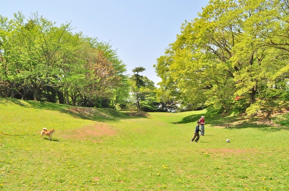 緩むなぁ・・・_a0126590_11291249.jpg