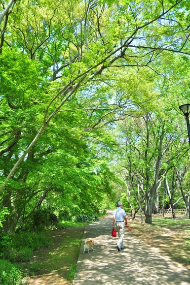 緩むなぁ・・・_a0126590_11383663.jpg