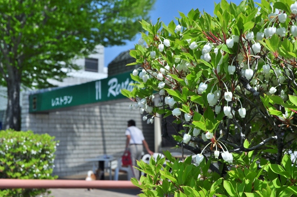 緩むなぁ・・・_a0126590_118576.jpg