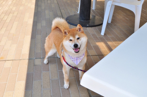 緩むなぁ・・・_a0126590_1192054.jpg