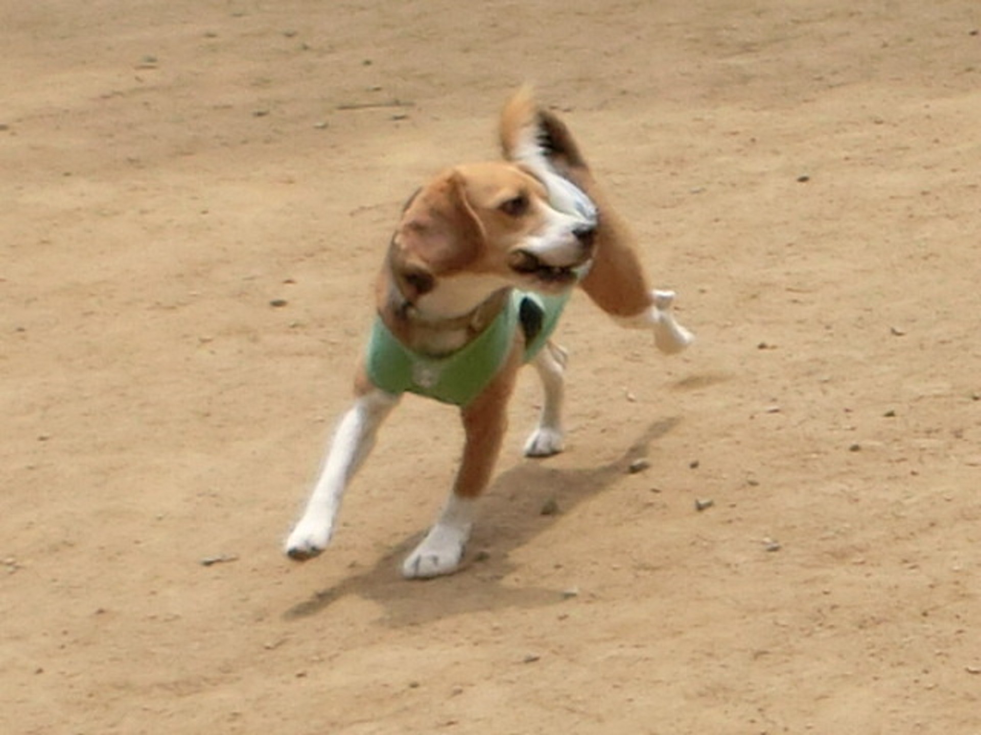 a0319693_16494551.jpg