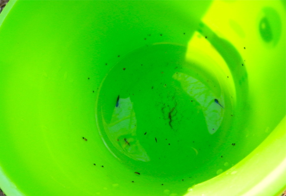 b0199097_8392980.jpg