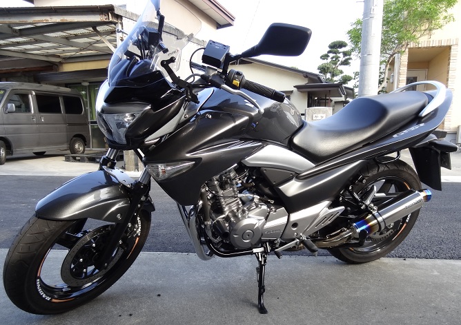 GSR250 フロントフェンダー交換 : Variant乗りなmocosの小言