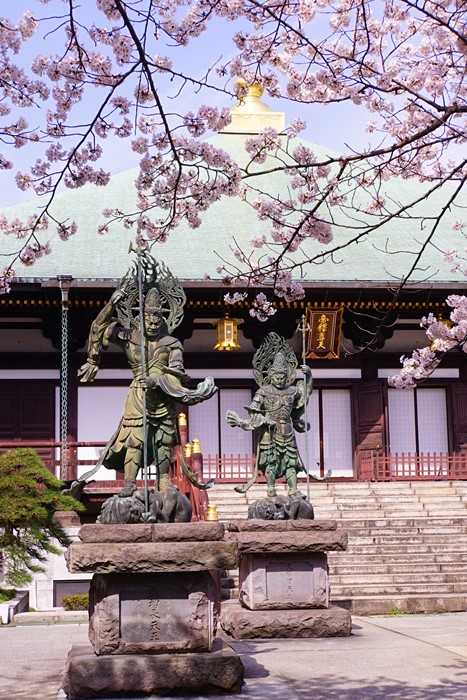 b0145398_21314918.jpg
