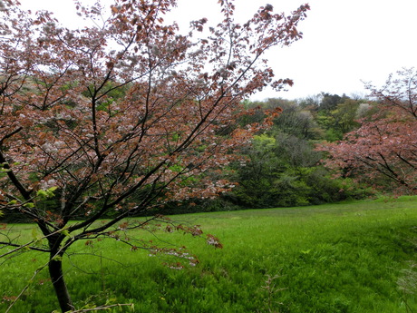 a0203003_2274122.jpg