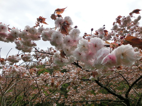 a0203003_2282342.jpg