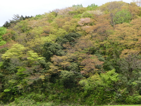 a0203003_2284210.jpg