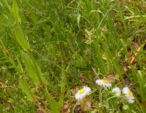 d0251807_1842296.jpg