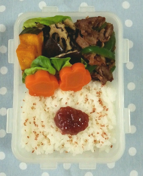 サラ弁＆夢応援弁当。。。牛肉とピーマンのオイスターソース炒め弁当_a0211008_1828564.jpg