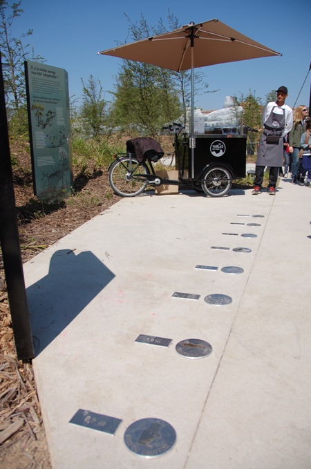 e0082110_535173.jpg