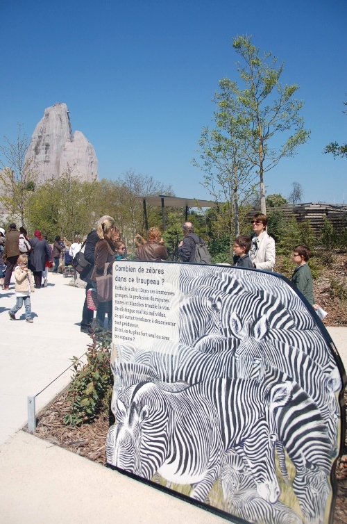e0082110_5353983.jpg