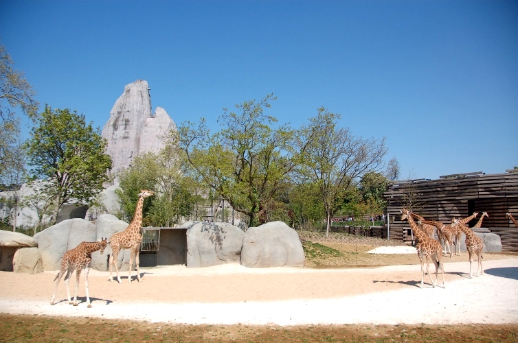 e0082110_543111.jpg