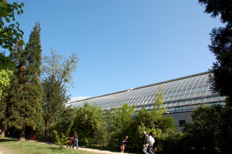 e0082110_5594087.jpg
