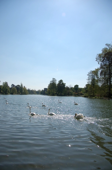 e0082110_816199.jpg
