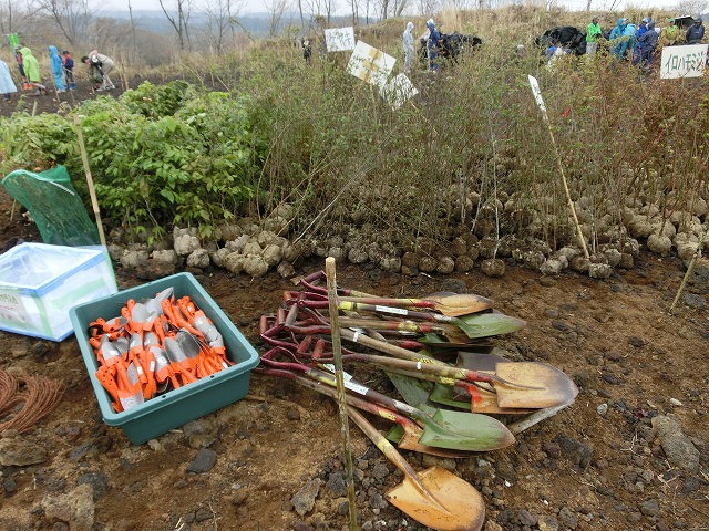 植えた苗木には雨がちょうど良かった！？「第21回　富士山麓ブナ林創造事業」_f0141310_7335264.jpg