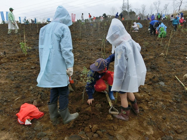 植えた苗木には雨がちょうど良かった!?「第21回 富士山麓ブナ林創造事業」_f0141310_7343582.jpg