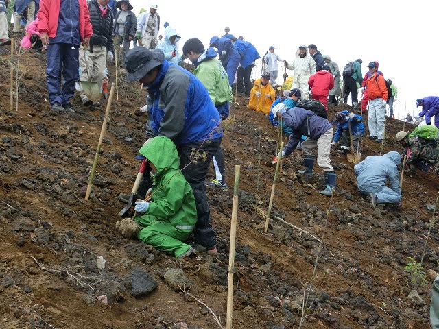 植えた苗木には雨がちょうど良かった！？「第21回　富士山麓ブナ林創造事業」_f0141310_7355182.jpg