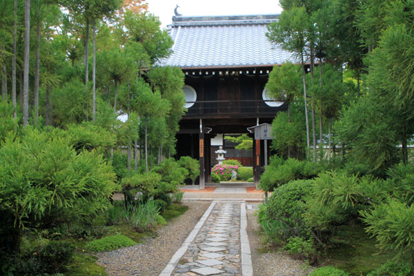 源光庵 春の庭_e0048413_2115063.jpg