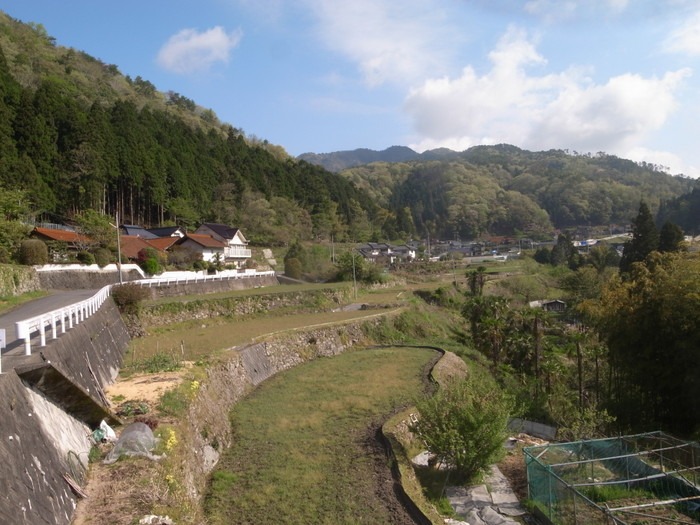 新緑の山々とゴミ出し_c0116915_2345322.jpg