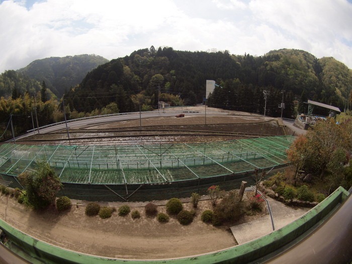代掻き_c0116915_2348401.jpg
