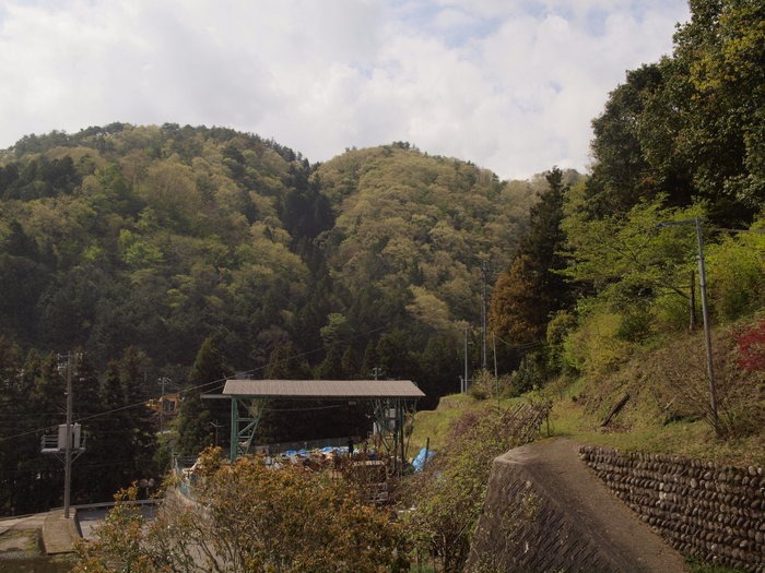 代掻き_c0116915_2350362.jpg