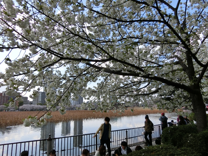 f0232417_0253241.jpg
