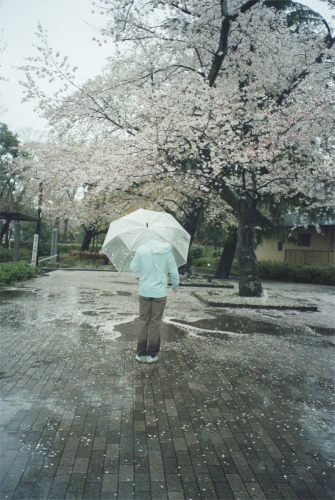 桜が散った日の写真_b0212922_16230596.jpg